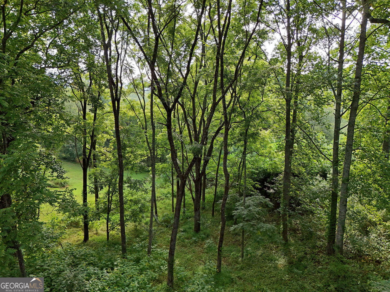 Lot 4 River Lake Estates Blairsville GA 30512