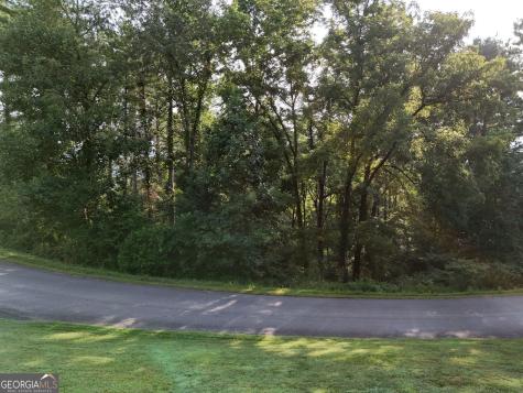 Lot 4 River Lake Estates Blairsville GA 30512