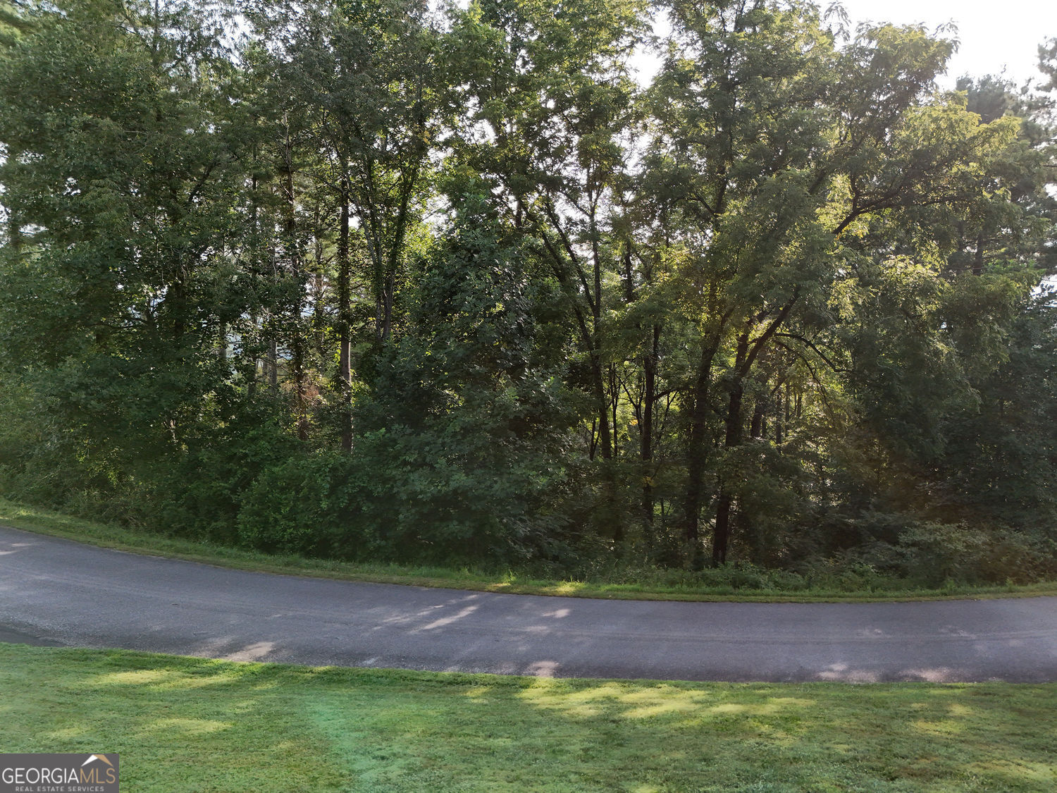 Lot 4 River Lake Estates Blairsville GA 30512