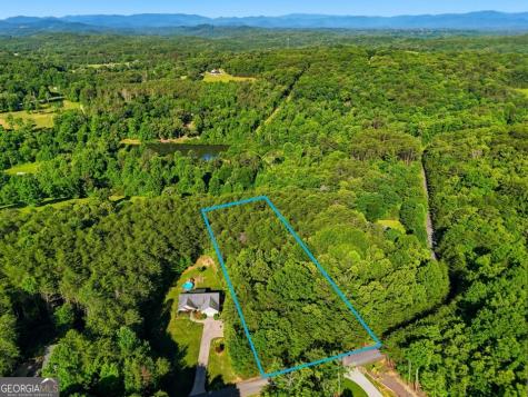 0 Autumn Ridge Drive Mineral Bluff GA 30559