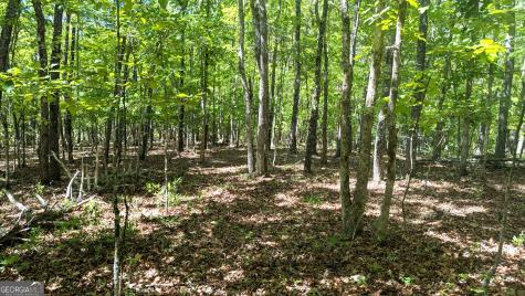 0 Autumn Ridge Drive Mineral Bluff GA 30559