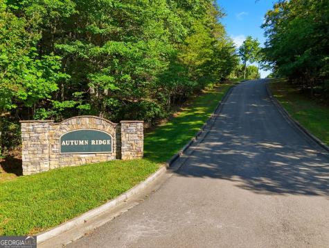 0 Autumn Ridge Drive Mineral Bluff GA 30559