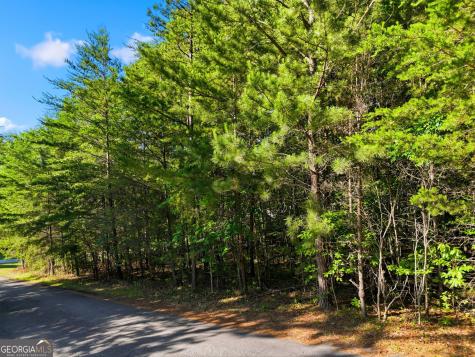 0 Autumn Ridge Drive Mineral Bluff GA 30559