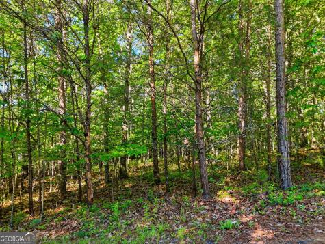 0 Autumn Ridge Drive Mineral Bluff GA 30559