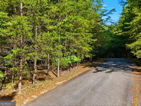 0 Autumn Ridge Drive Mineral Bluff GA 30559
