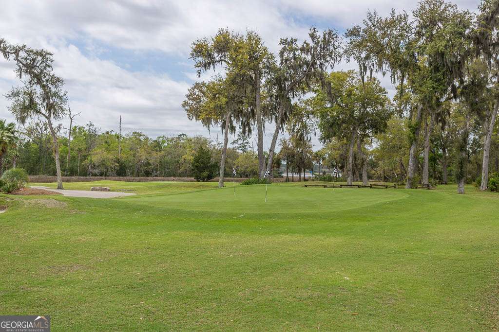 344 Oak Grove Island Drive Brunswick GA 31523