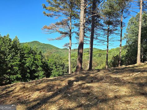 Lot 20 Sunset View Blairsville GA 30512