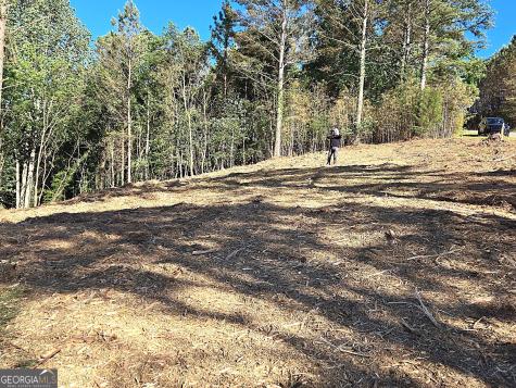 Lot 20 Sunset View Blairsville GA 30512