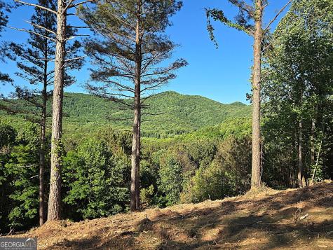 Lot 20 Sunset View Blairsville GA 30512