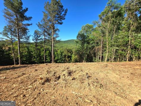 Lot 20 Sunset View Blairsville GA 30512