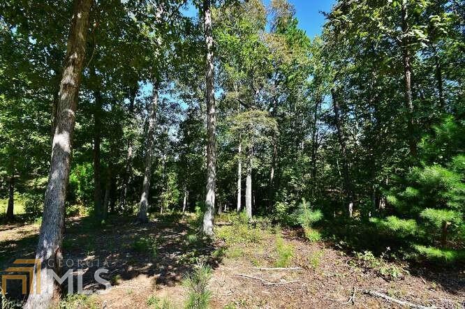 4562B Fawn Path Gainesville GA 30506