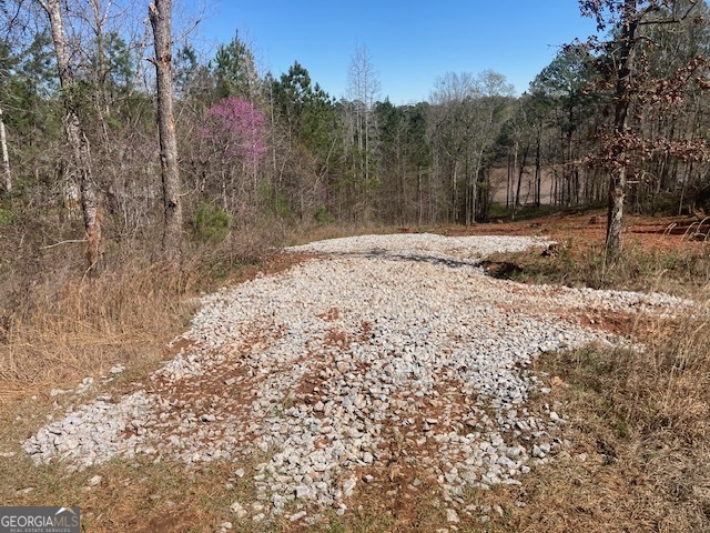 Lot 11 Anchor Pointe Drive Eatonton GA 31024
