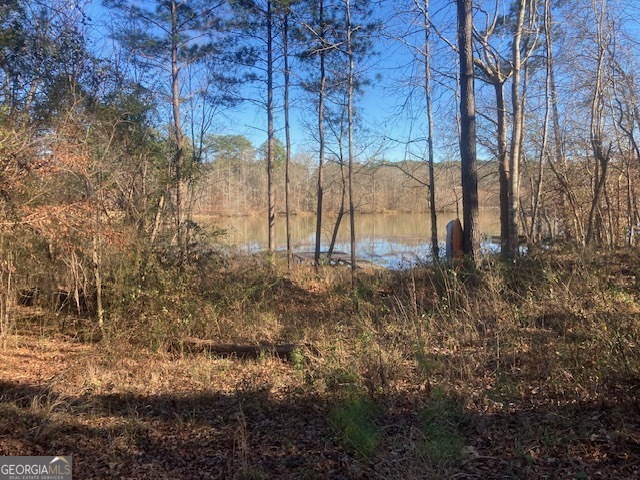 Lot 11 Anchor Pointe Drive Eatonton GA 31024