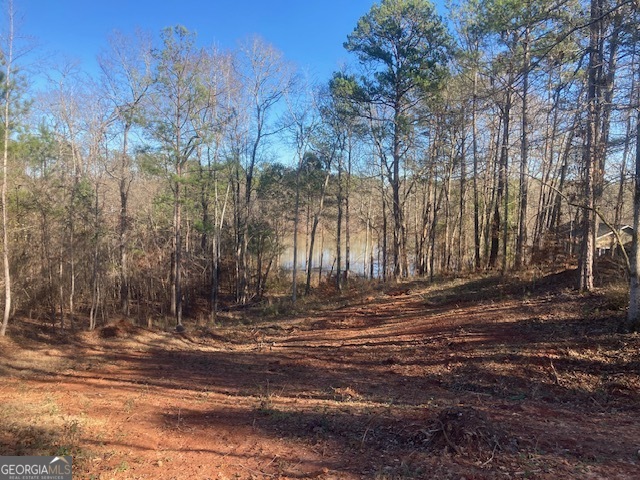 Lot 11 Anchor Pointe Drive Eatonton GA 31024