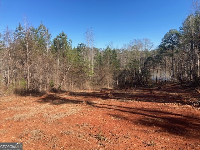 Lot 11 Anchor Pointe Drive Eatonton GA 31024