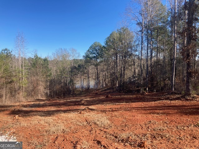 Lot 11 Anchor Pointe Drive Eatonton GA 31024