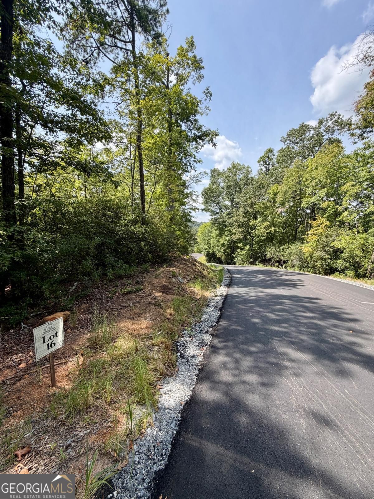 Lot 16 Turquoise Ridge Blue Ridge GA 30513