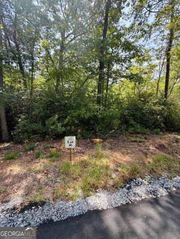 Lot 16 Turquoise Ridge Blue Ridge GA 30513