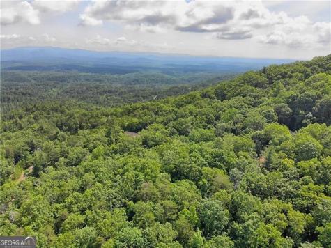 3023 Wild Turkey Bluff Big Canoe GA 30143