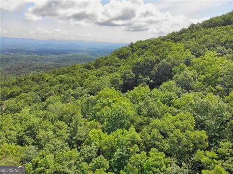 3023 Wild Turkey Bluff Big Canoe GA 30143