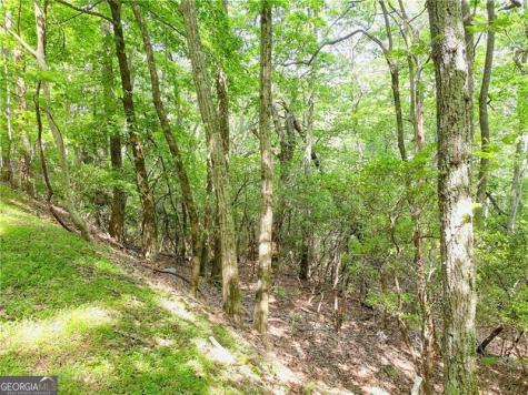 3023 Wild Turkey Bluff Big Canoe GA 30143