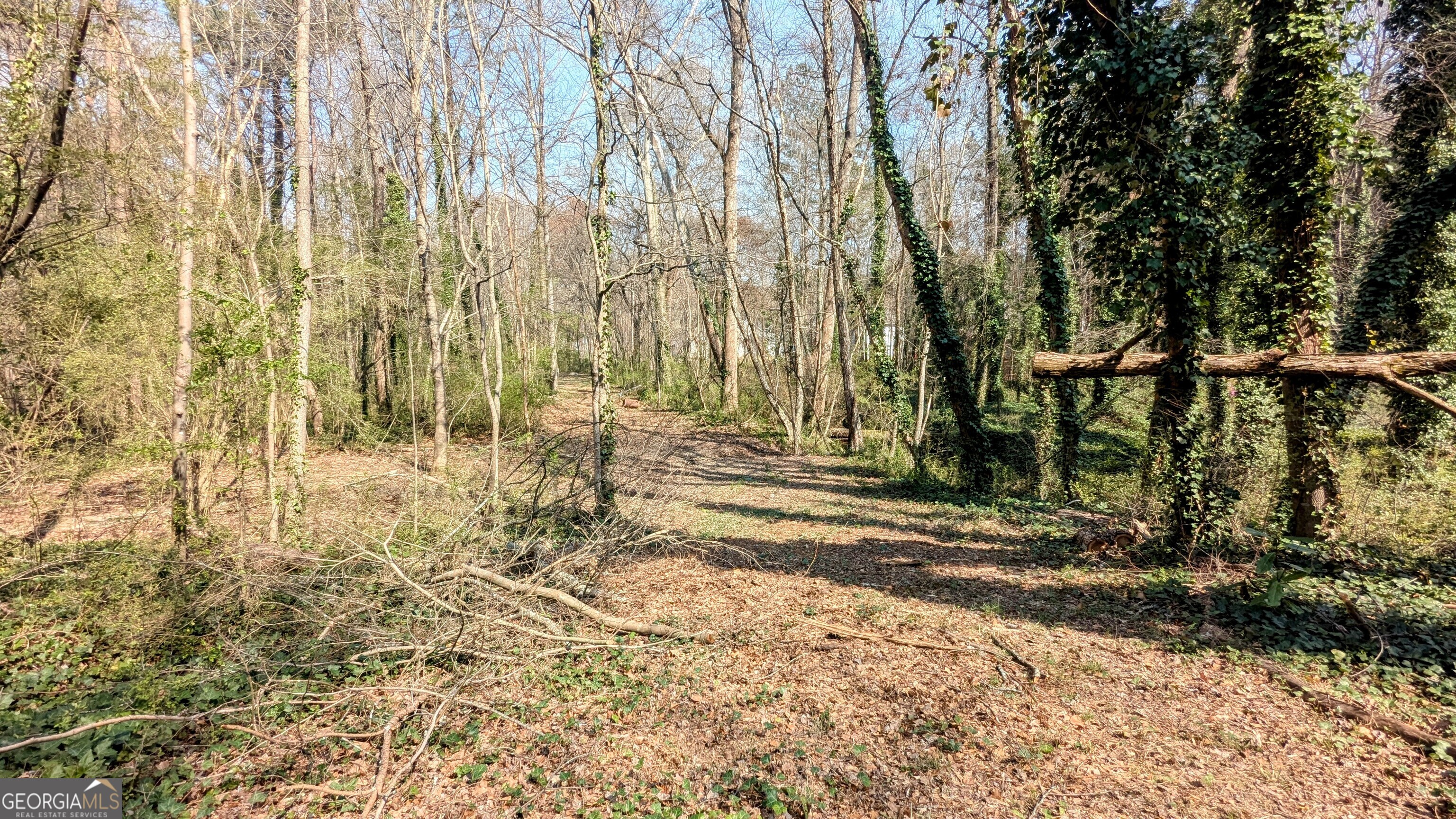 6609 Crossing Creek Point Austell GA 30168