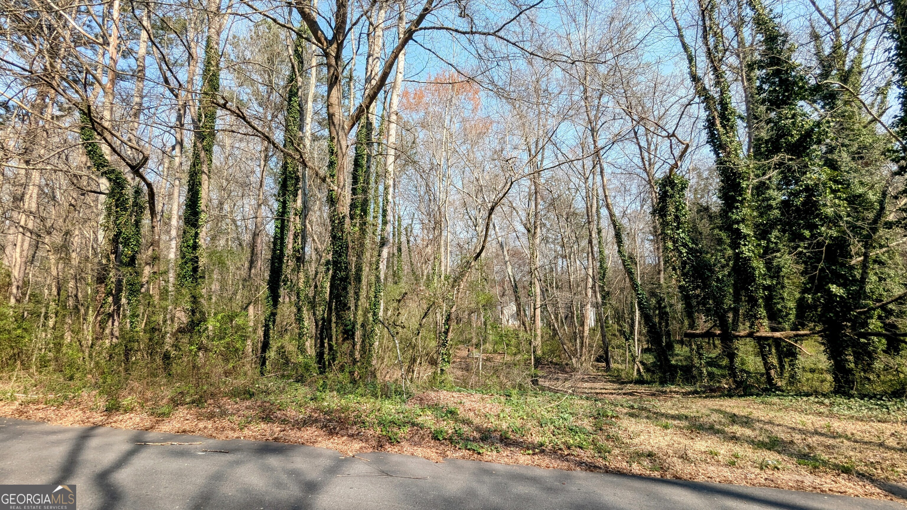 6609 Crossing Creek Point Austell GA 30168