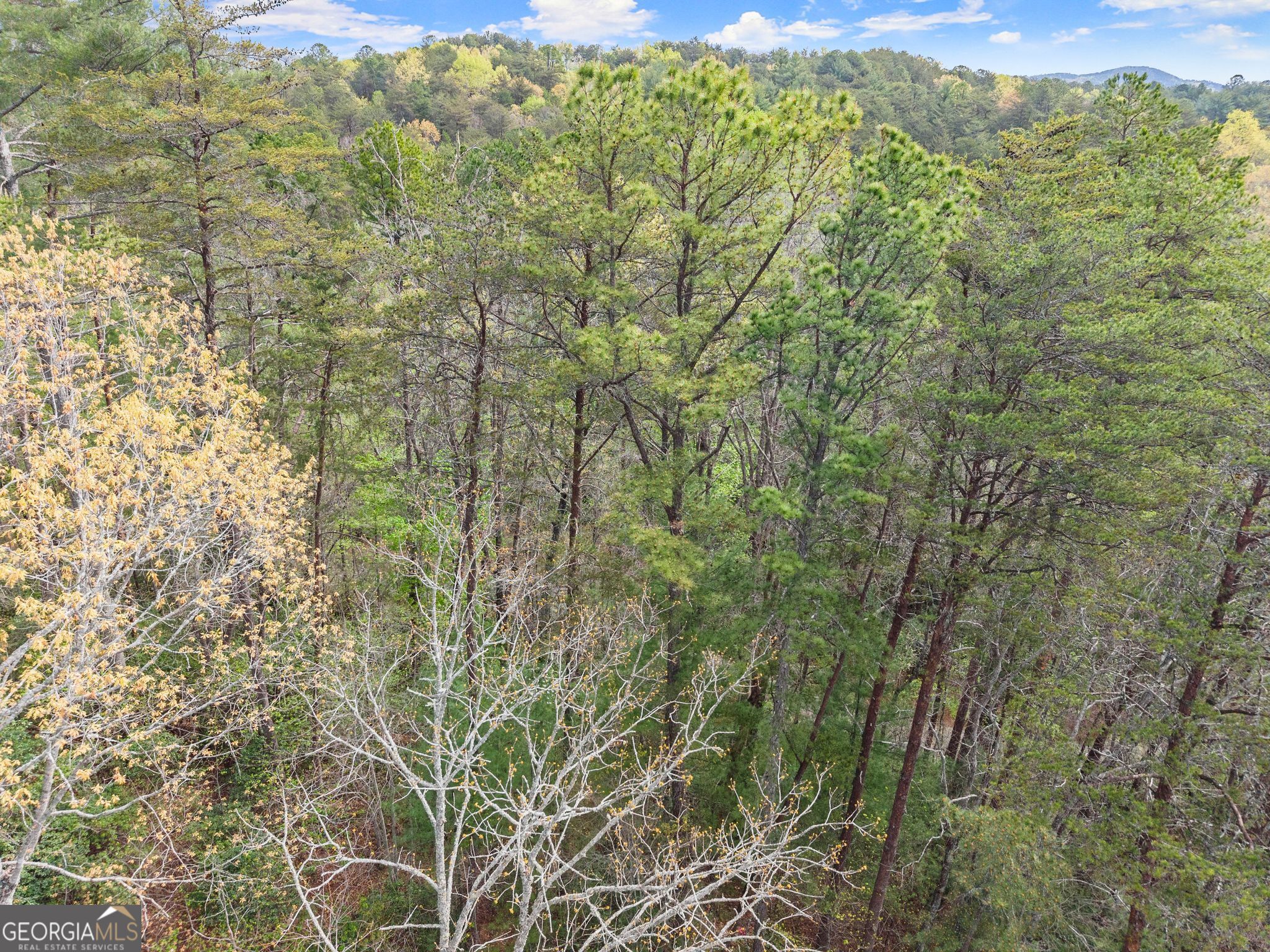0 S Fern Cove Road Sautee Nacoochee GA 30571