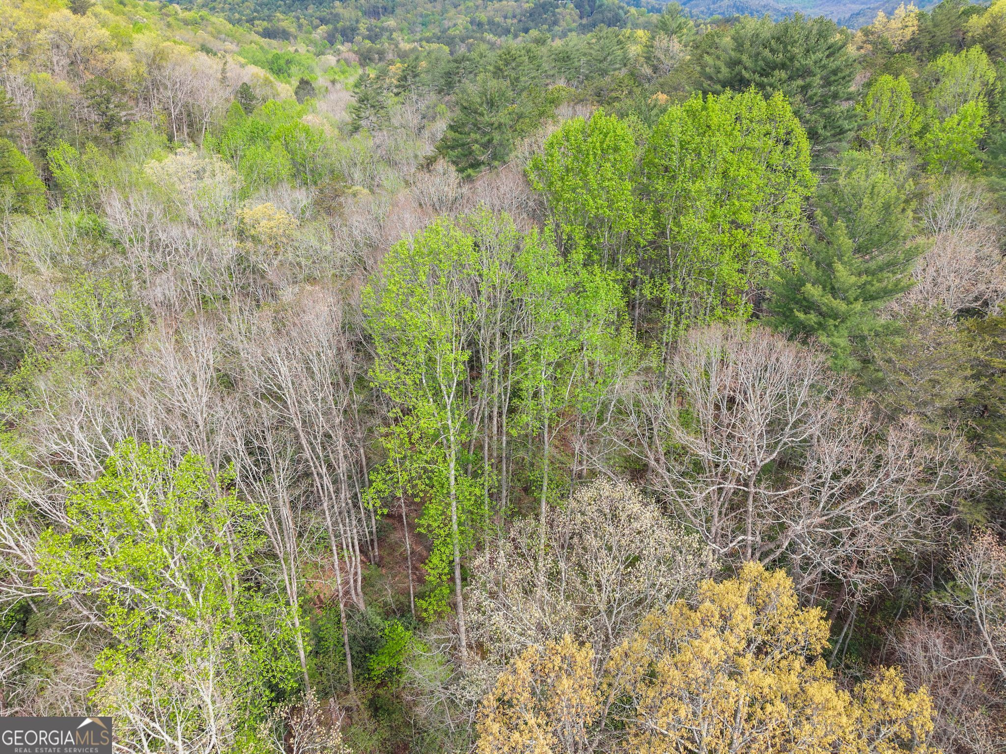 0 S Fern Cove Road Sautee Nacoochee GA 30571