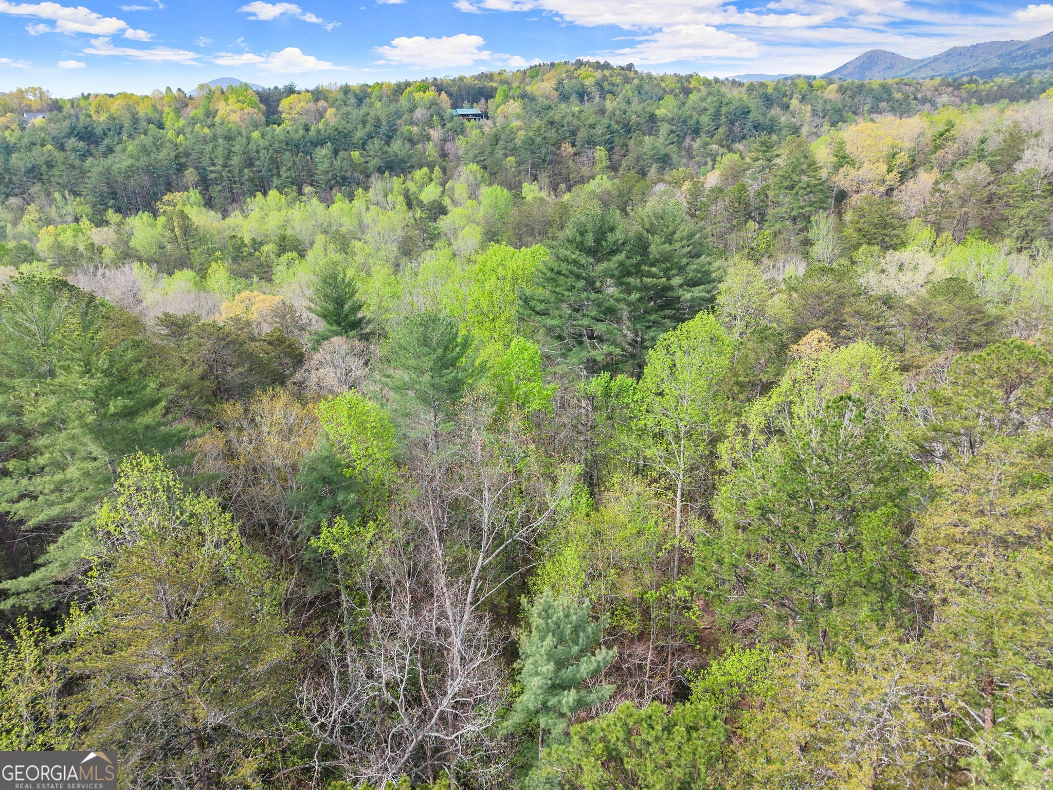 0 S Fern Cove Road Sautee Nacoochee GA 30571
