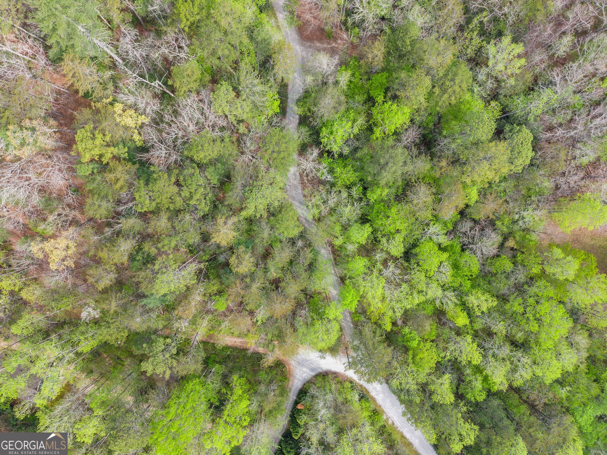 0 S Fern Cove Road Sautee Nacoochee GA 30571