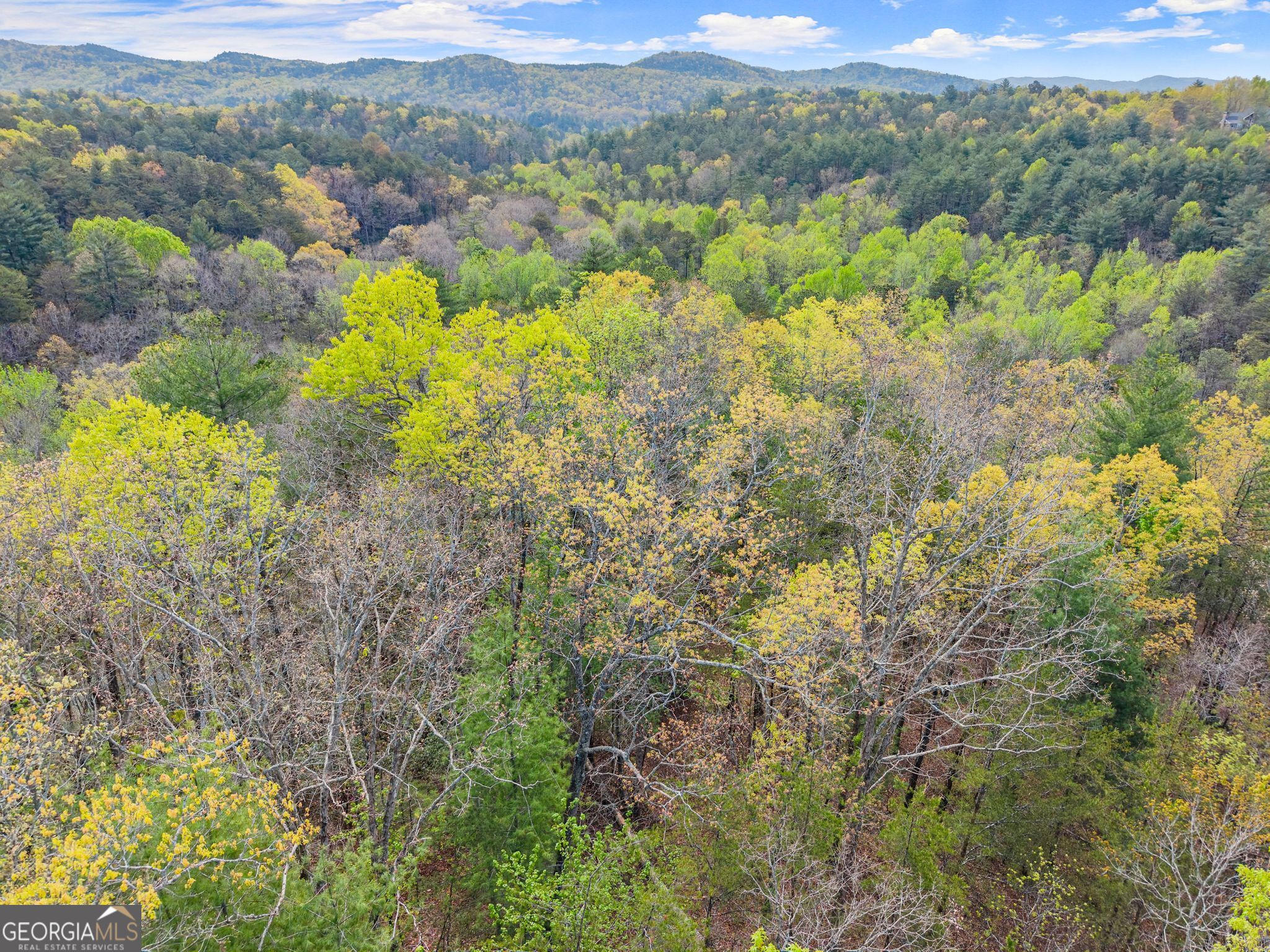 0 S Fern Cove Road Sautee Nacoochee GA 30571
