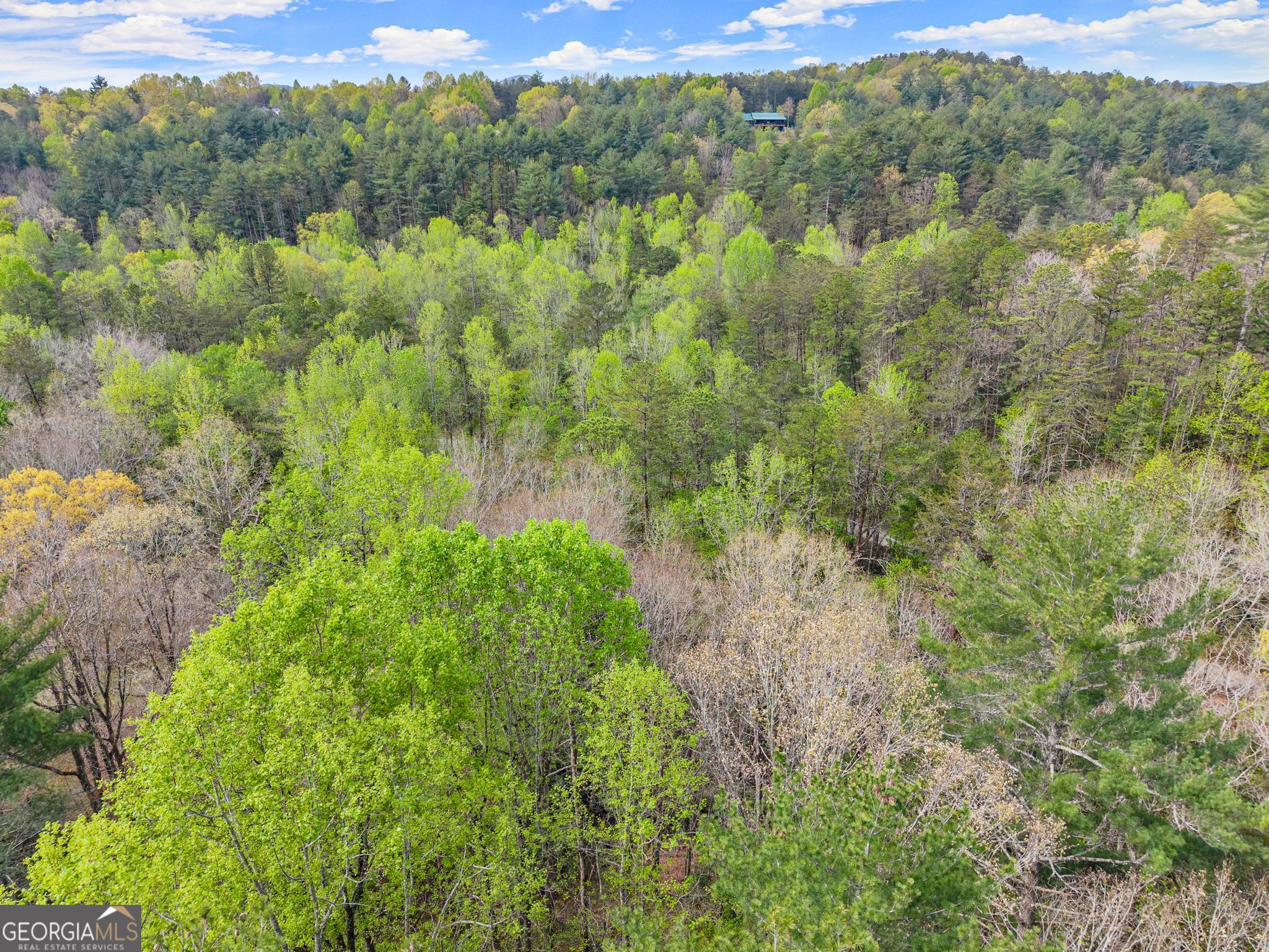 0 S Fern Cove Road Sautee Nacoochee GA 30571