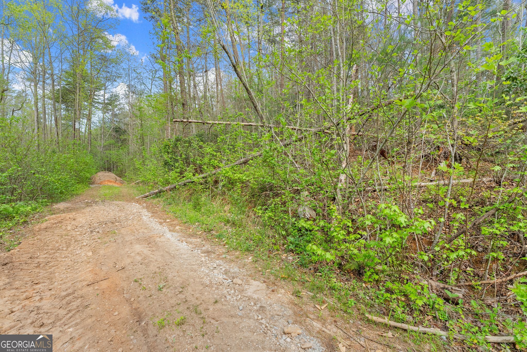 0 S Fern Cove Road Sautee Nacoochee GA 30571