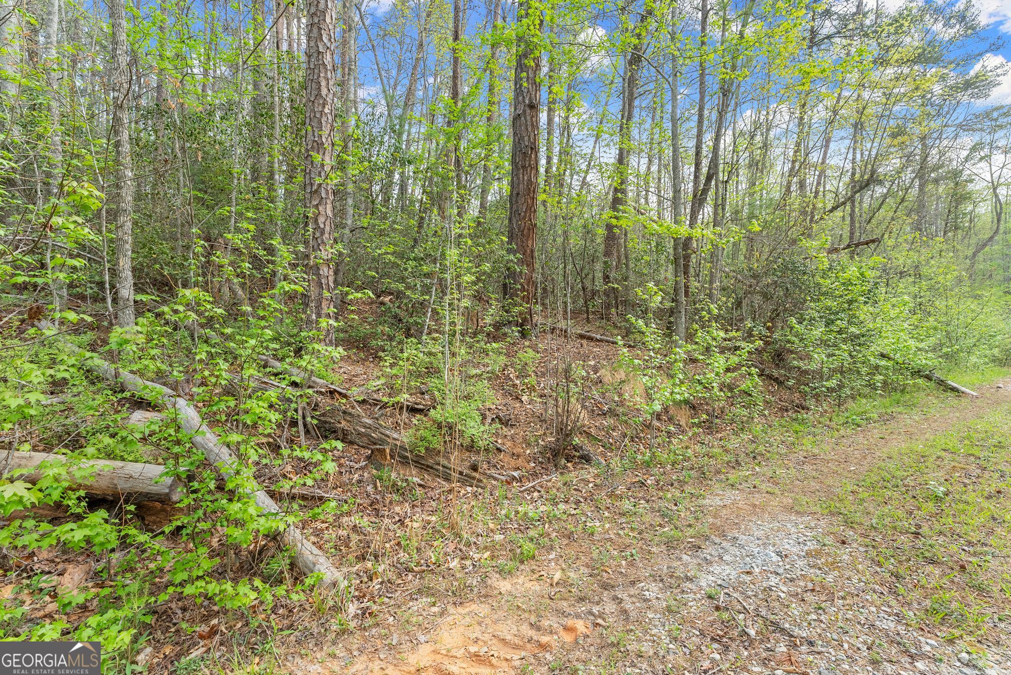 0 S Fern Cove Road Sautee Nacoochee GA 30571