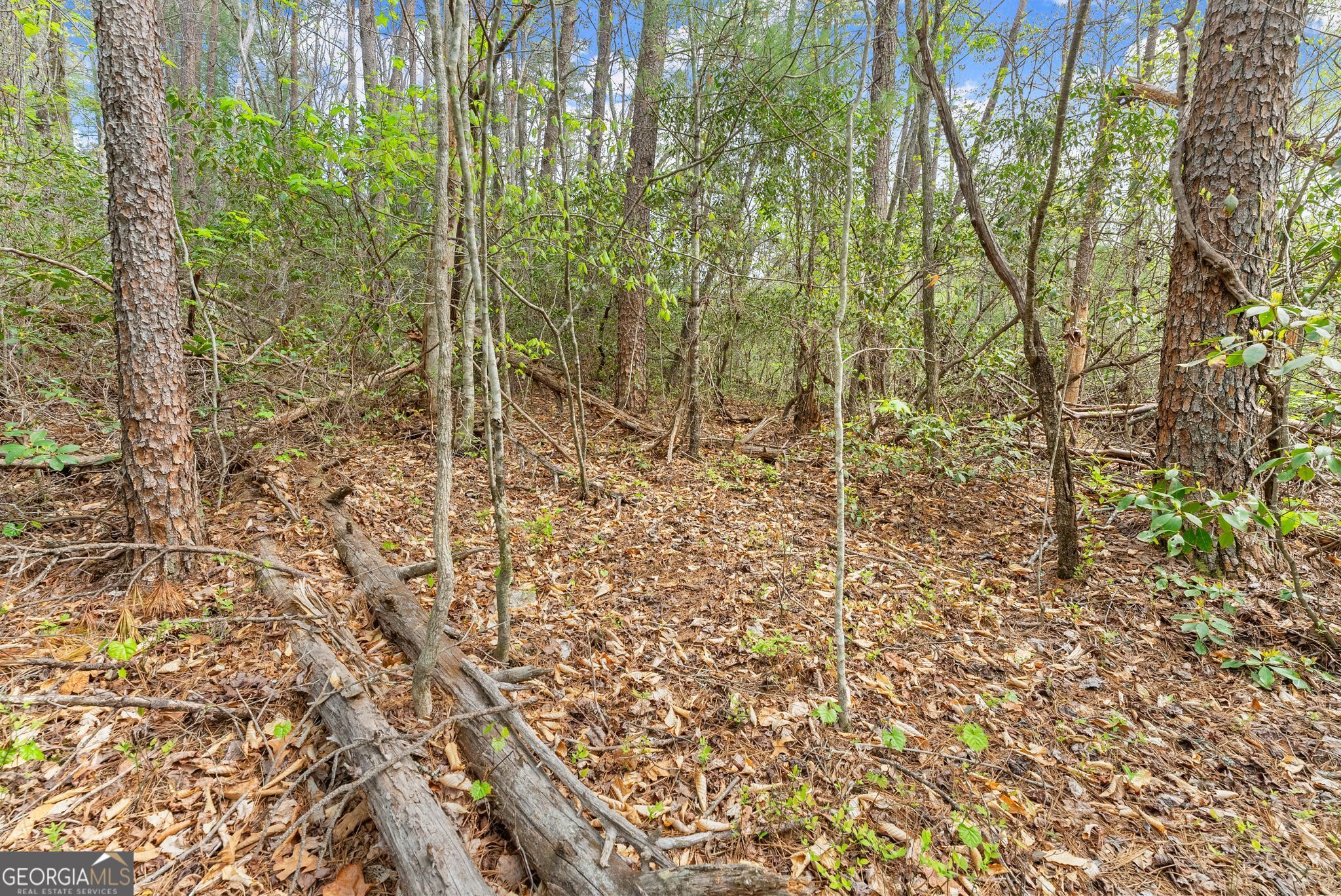 0 S Fern Cove Road Sautee Nacoochee GA 30571