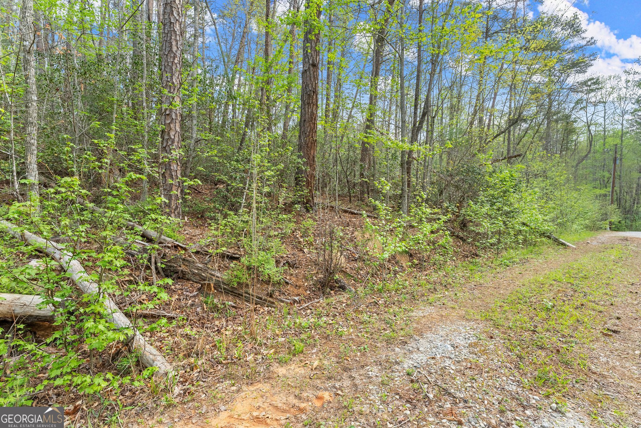 0 S Fern Cove Road Sautee Nacoochee GA 30571