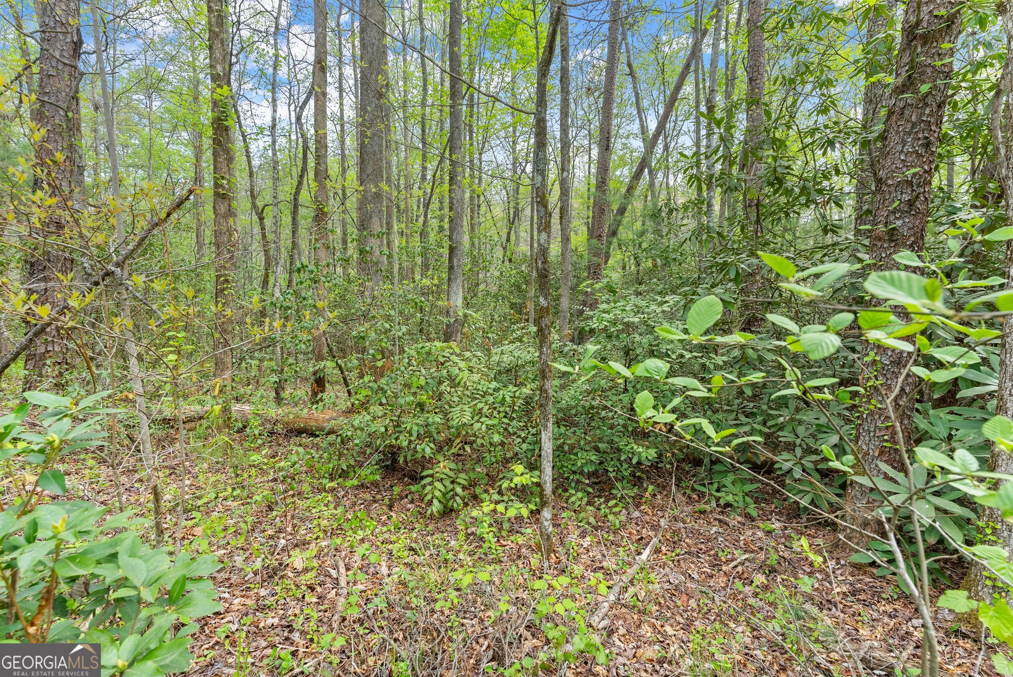 0 S Fern Cove Road Sautee Nacoochee GA 30571