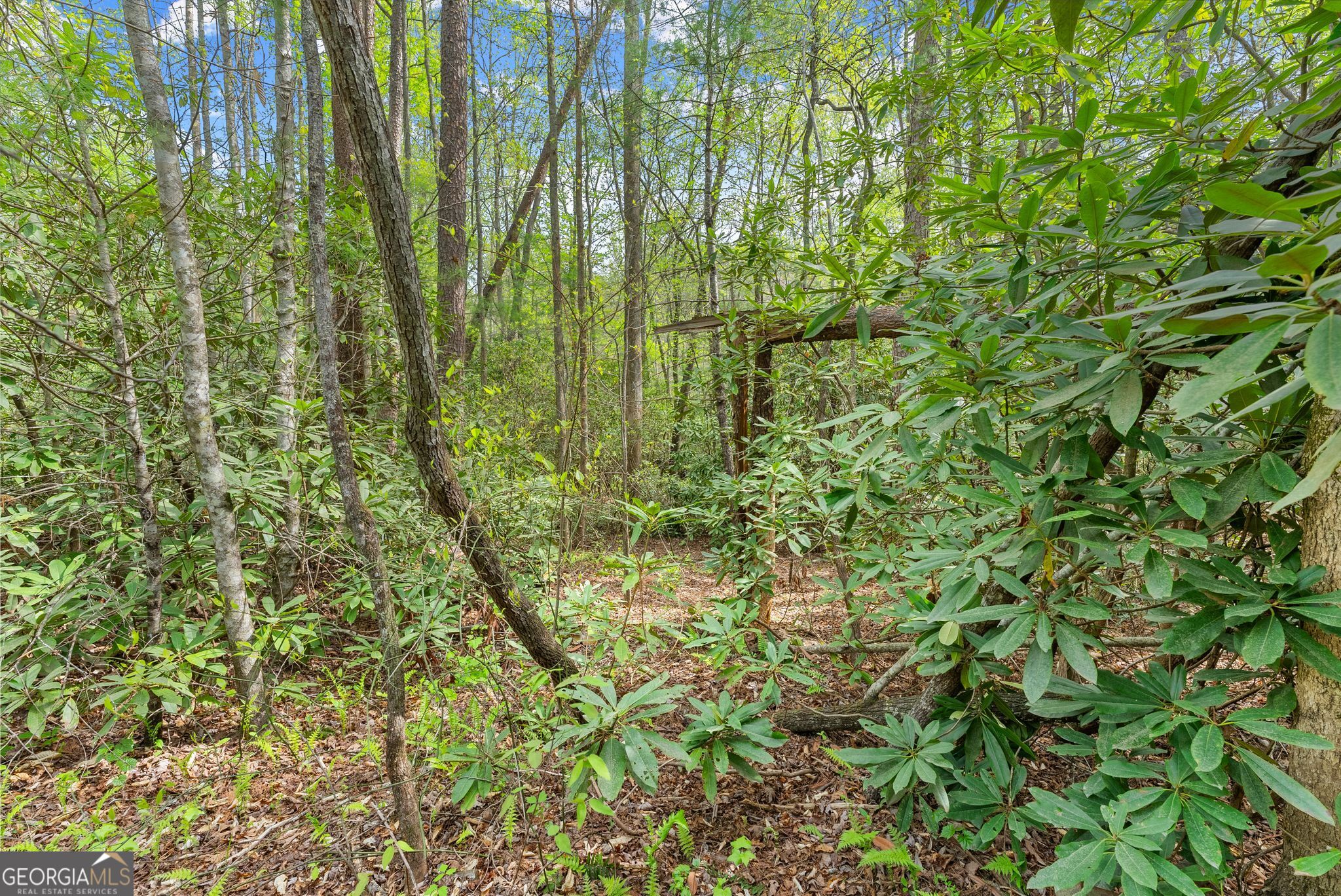 0 S Fern Cove Road Sautee Nacoochee GA 30571