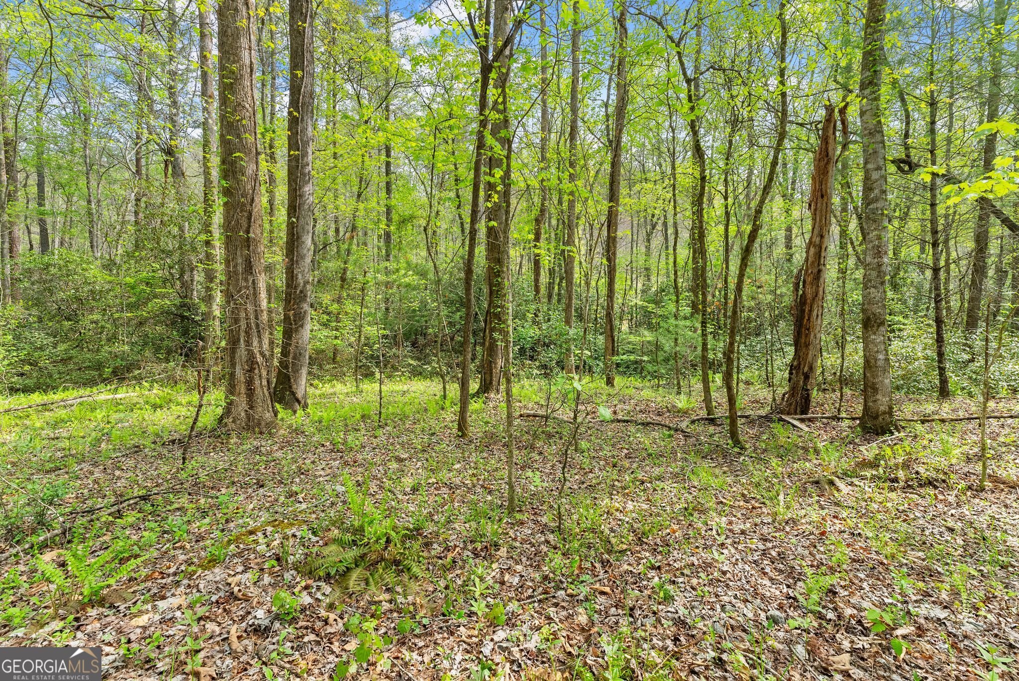 0 S Fern Cove Road Sautee Nacoochee GA 30571