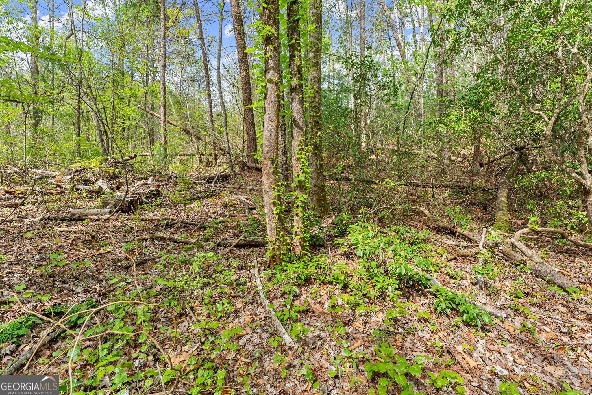 0 S Fern Cove Road Sautee Nacoochee GA 30571