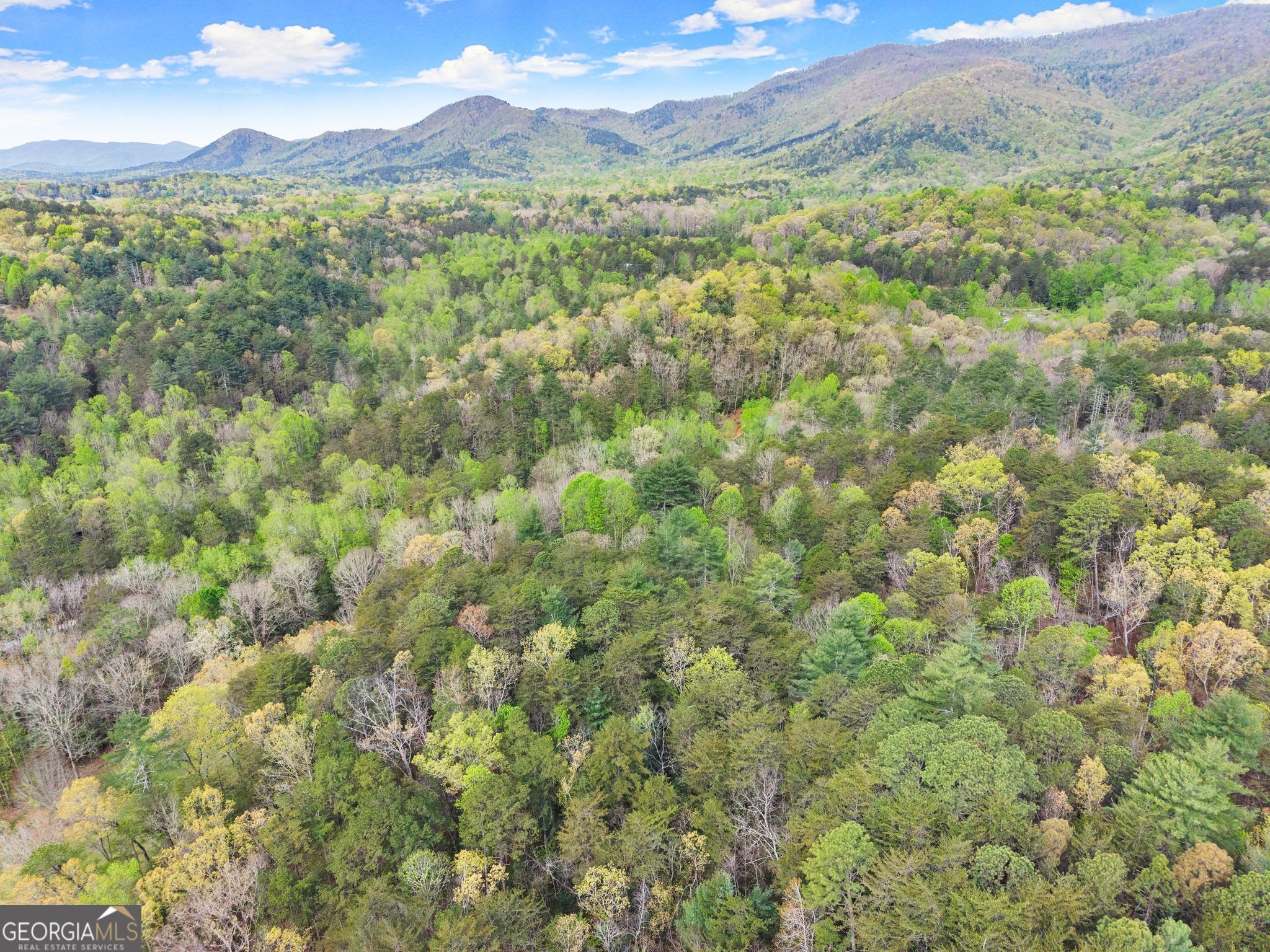 0 S Fern Cove Road Sautee Nacoochee GA 30571