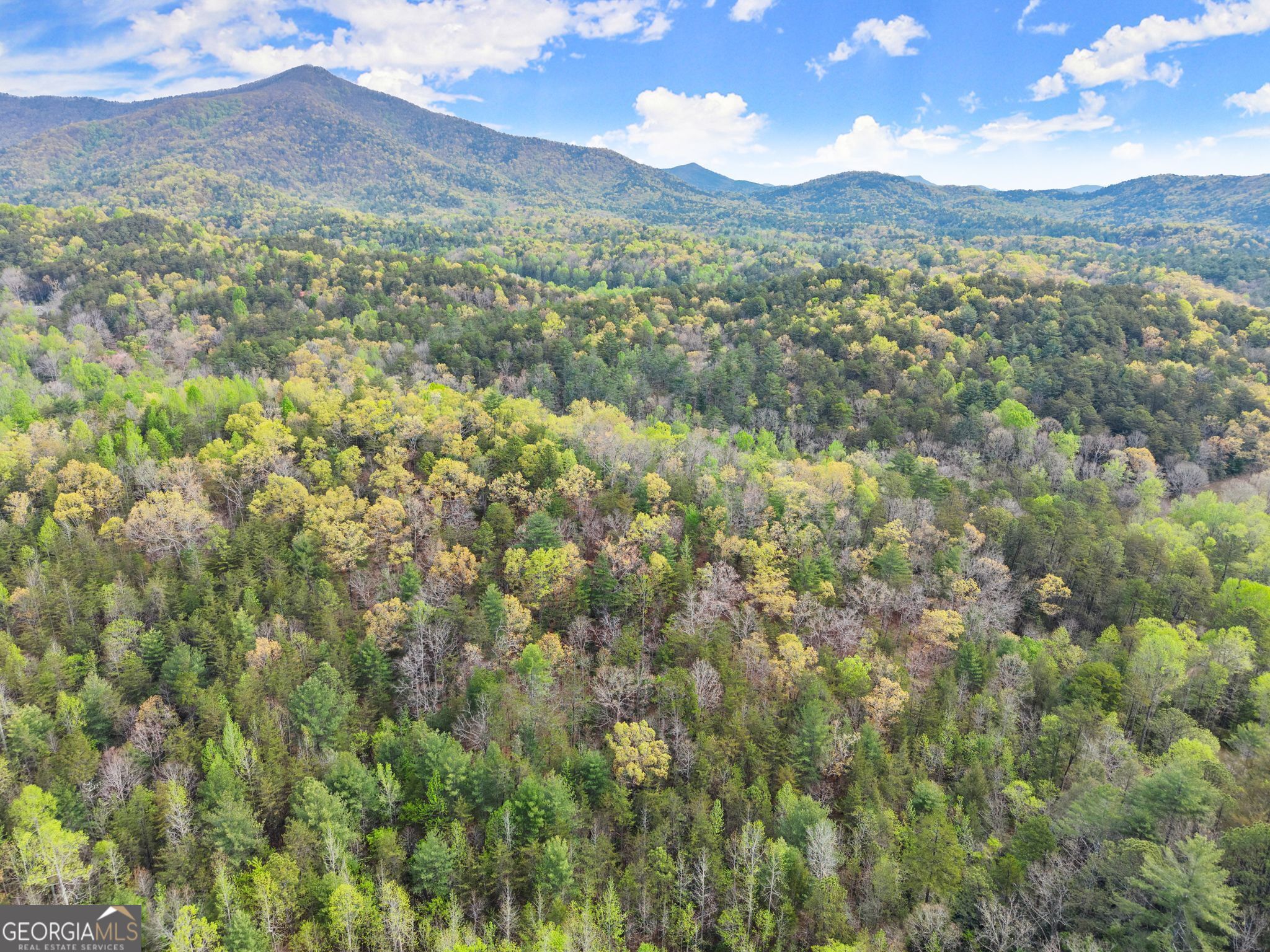 0 S Fern Cove Road Sautee Nacoochee GA 30571