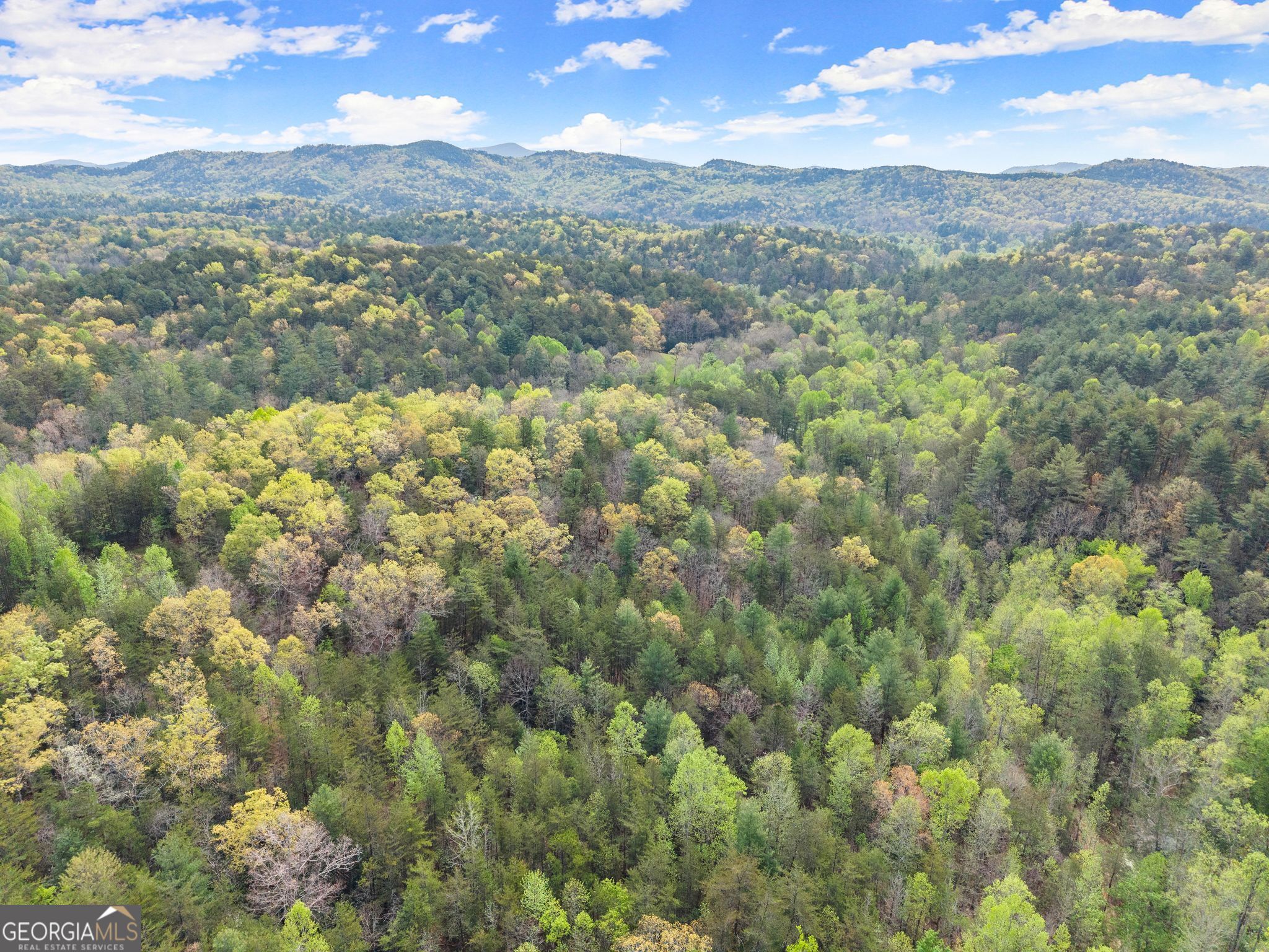 0 S Fern Cove Road Sautee Nacoochee GA 30571