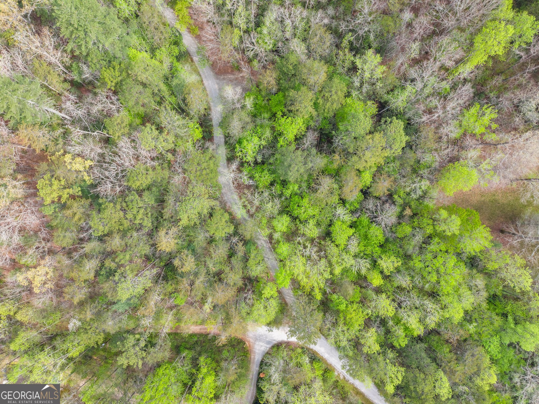 0 S Fern Cove Road Sautee Nacoochee GA 30571
