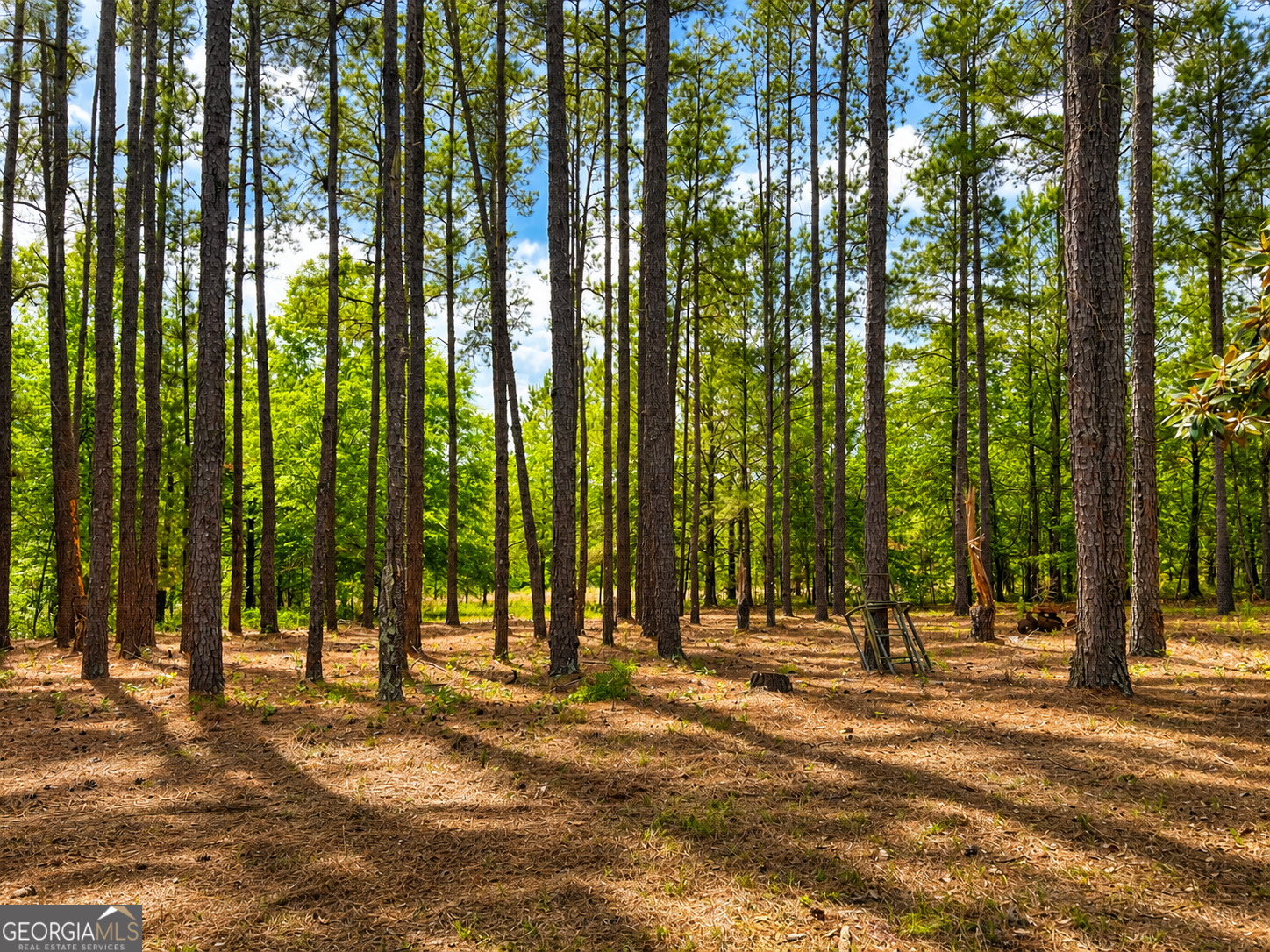 1059 Rabitsch Road Millen GA 30442