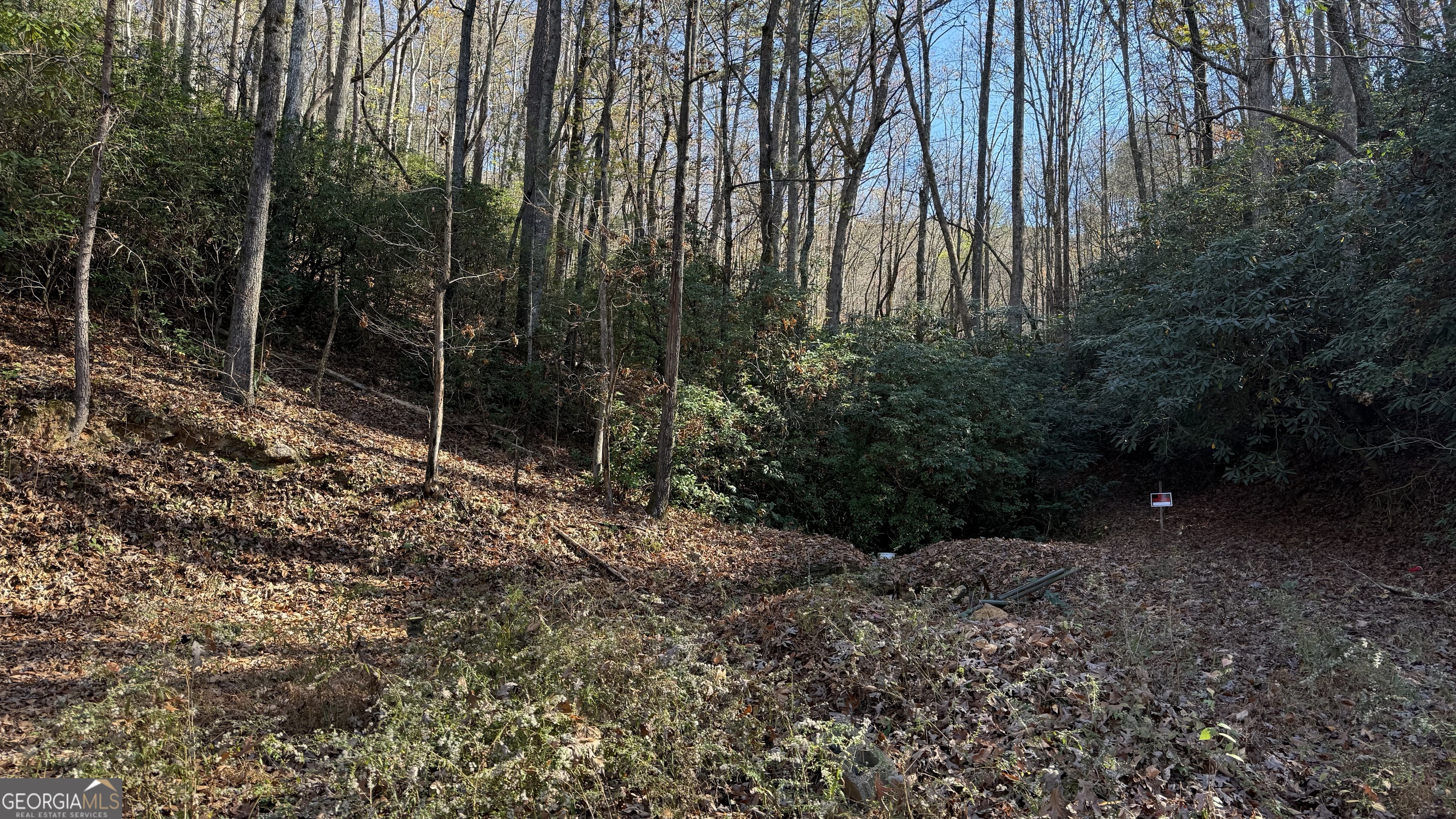 0 Goshen Road Clarkesville GA 30523