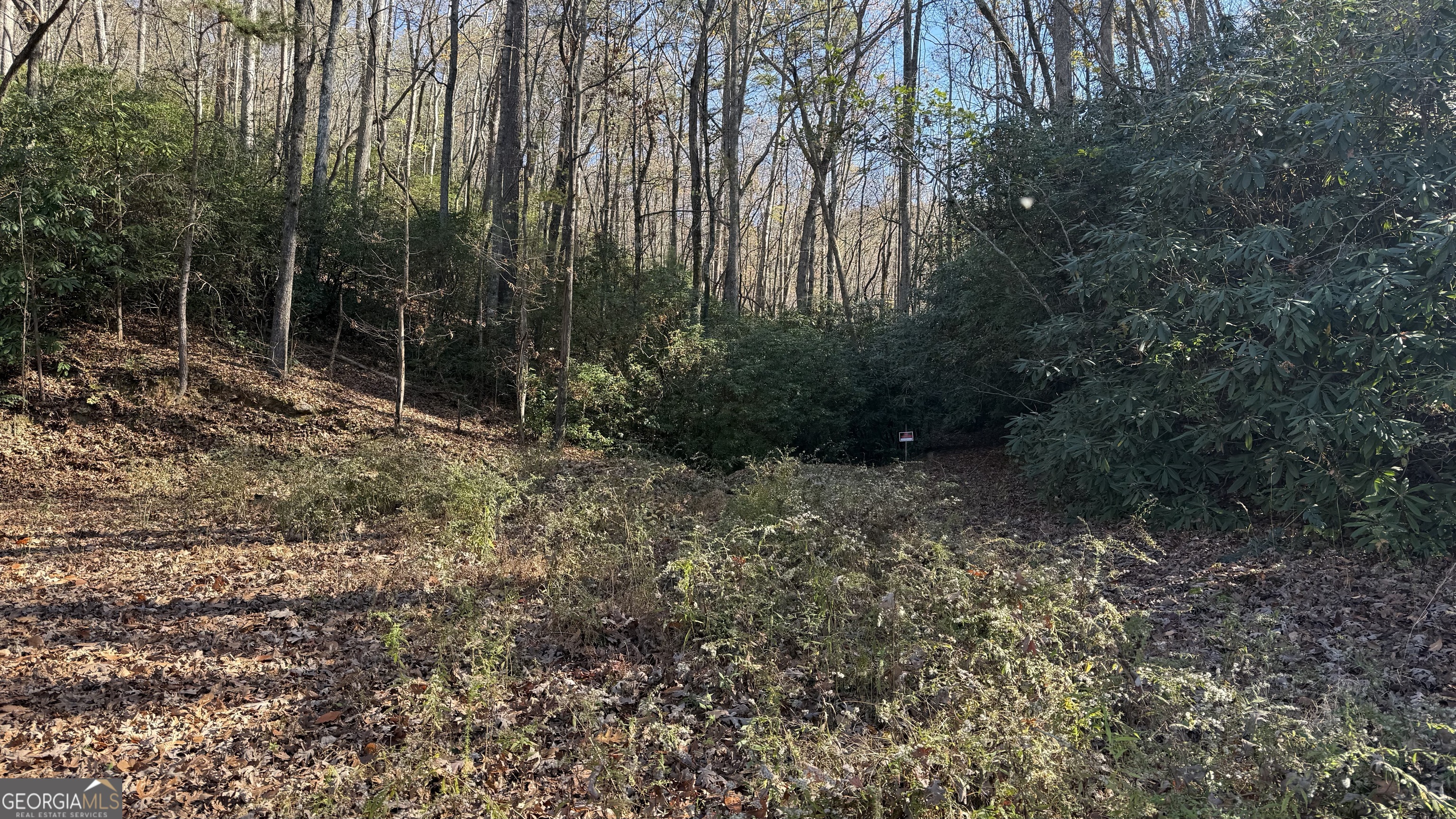 0 Goshen Road Clarkesville GA 30523