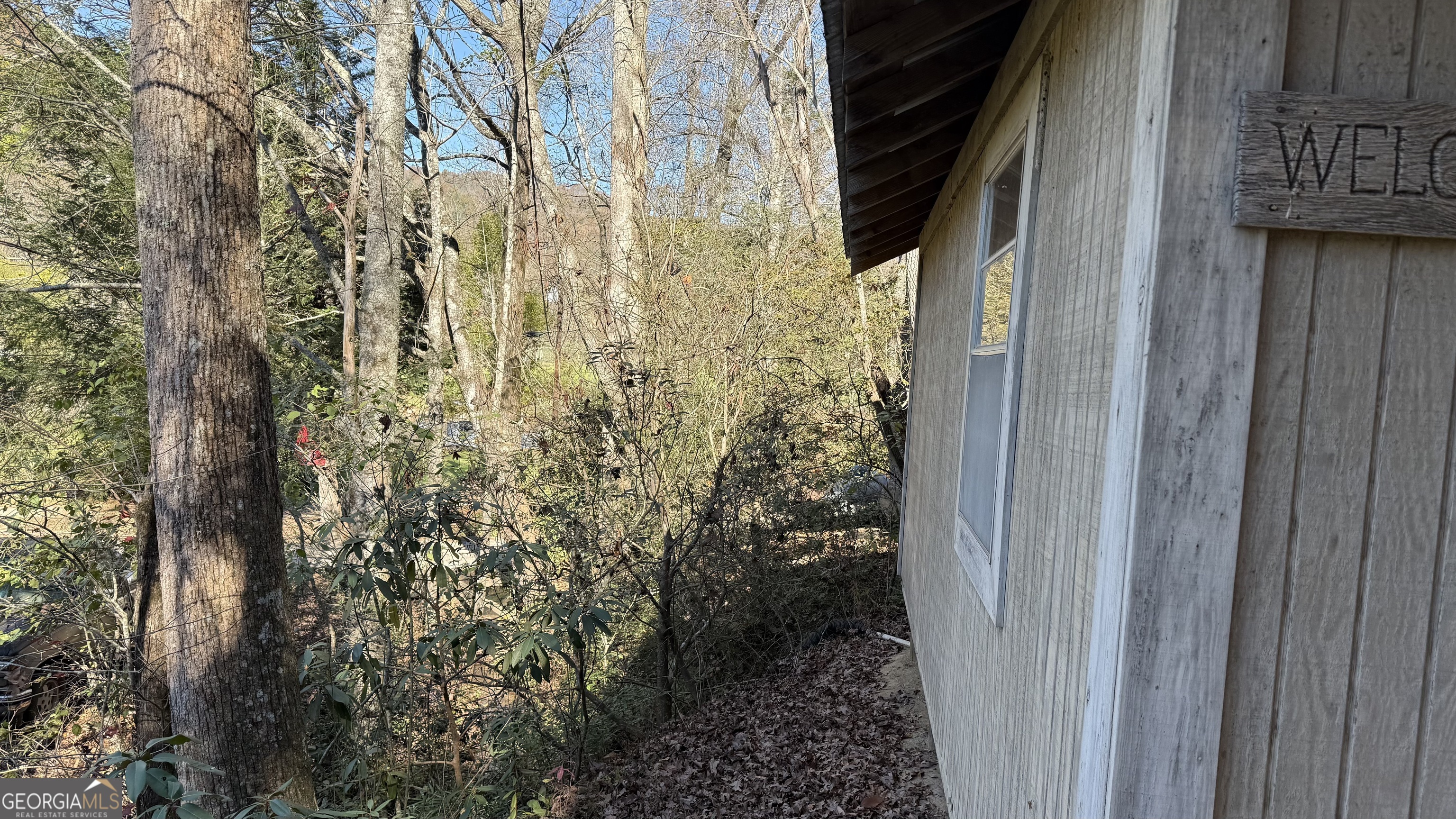 0 Goshen Road Clarkesville GA 30523