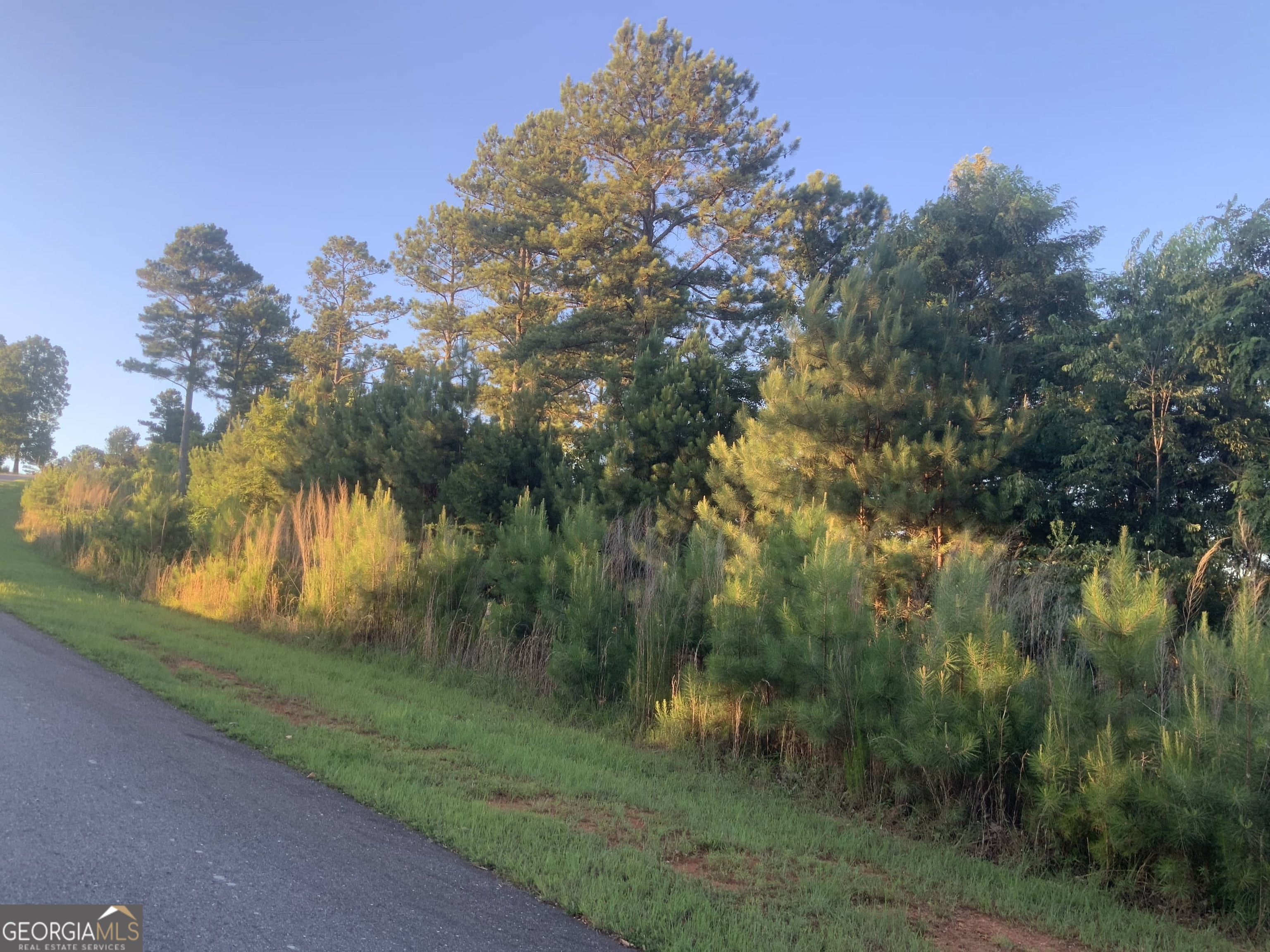 0 Mile High Blairsville GA 30512
